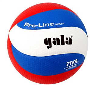 Мяч волейбольный профессиональный Gala Pro Line10  № 5