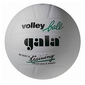 Мяч волейбольный GALA  training 10 №5 тренировочный