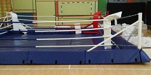 Ринг боксерский напольный 6*6 м, боевая зона 5*5 м
