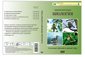 Видеофильм на DVD " Сезонные явления в жизни птиц "