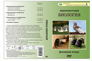 Видеофильм на DVD " Домашние птицы "