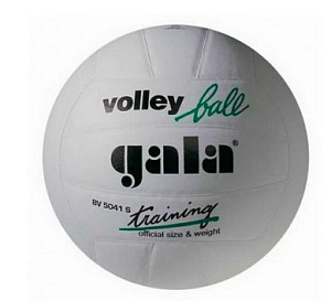 Мяч волейбольный Gala training № 5