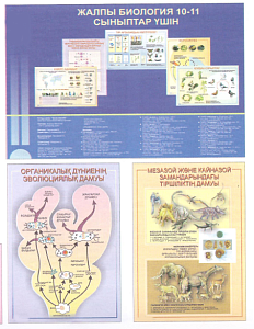 Плакаты "Жалпы биология. 10-11 сыныптар" (ф.А1, 15 шт., на каз.яз., глянц.)