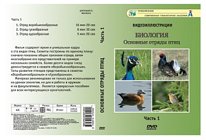 Видеофильм на DVD " Основные отряды птиц " ч.1
