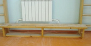 Скамейка гимнастическая 1000*380*250 мм